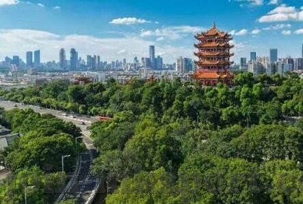 森林舞会可上下兑换-森林舞会，自然与娱乐的和谐共舞